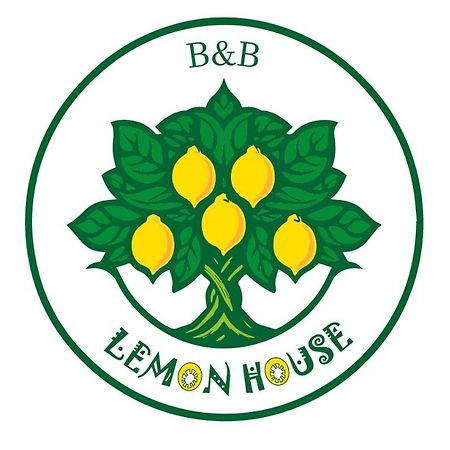 Bed and Breakfast Lemon House Катандзаро Экстерьер фото